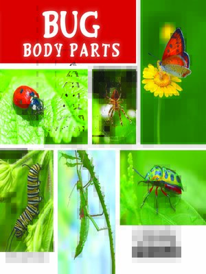 cover image of Bug Body Parts